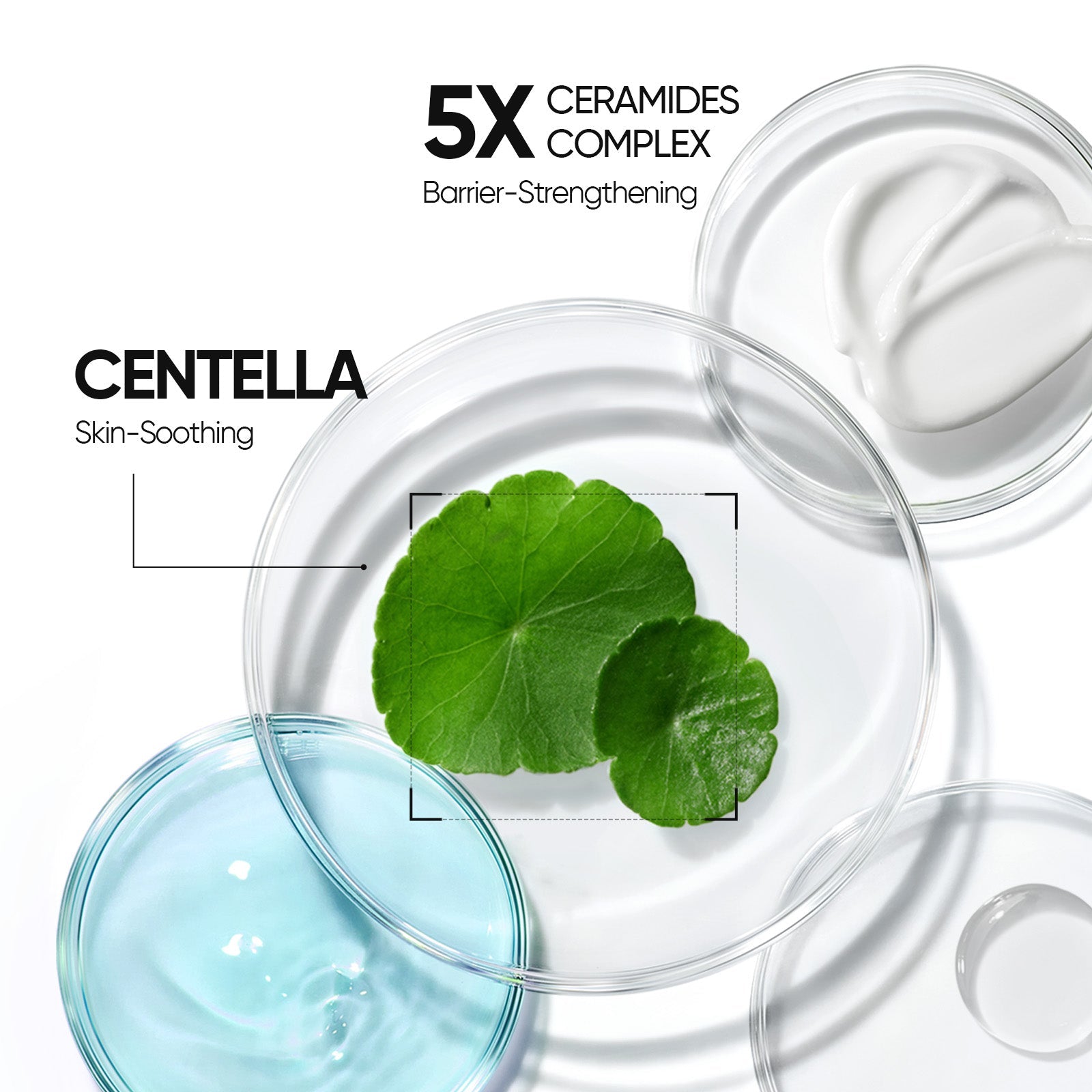 Lip Serum + Cover Cushion + 5X Ceramide Barrier 3 pcs